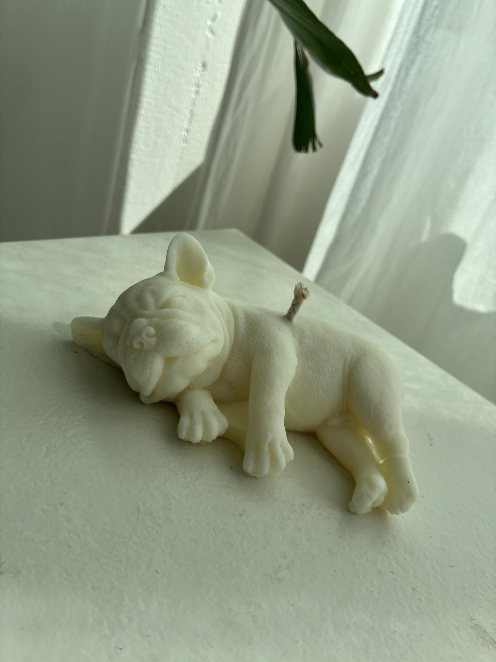 Französische Bulldogge Kerze