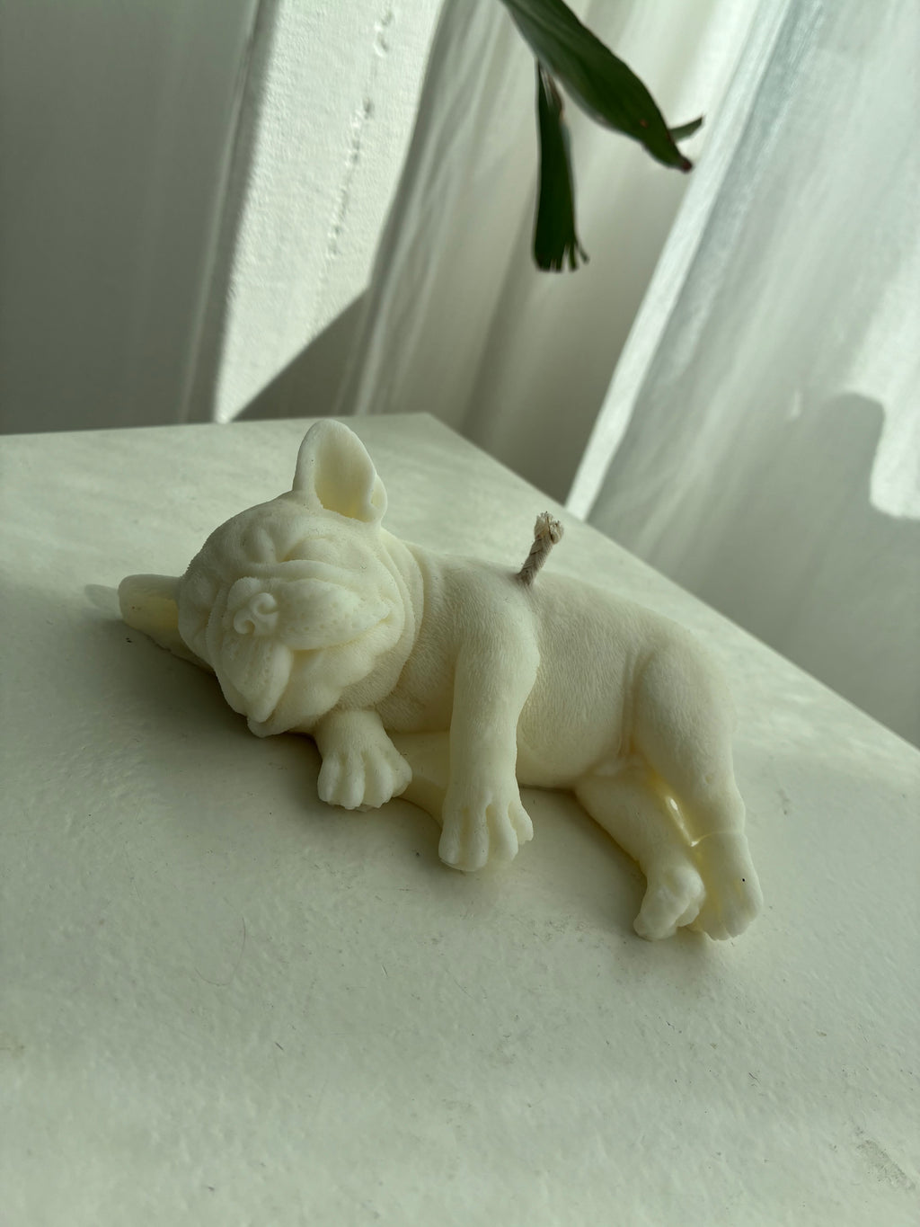 Französische Bulldogge Kerze