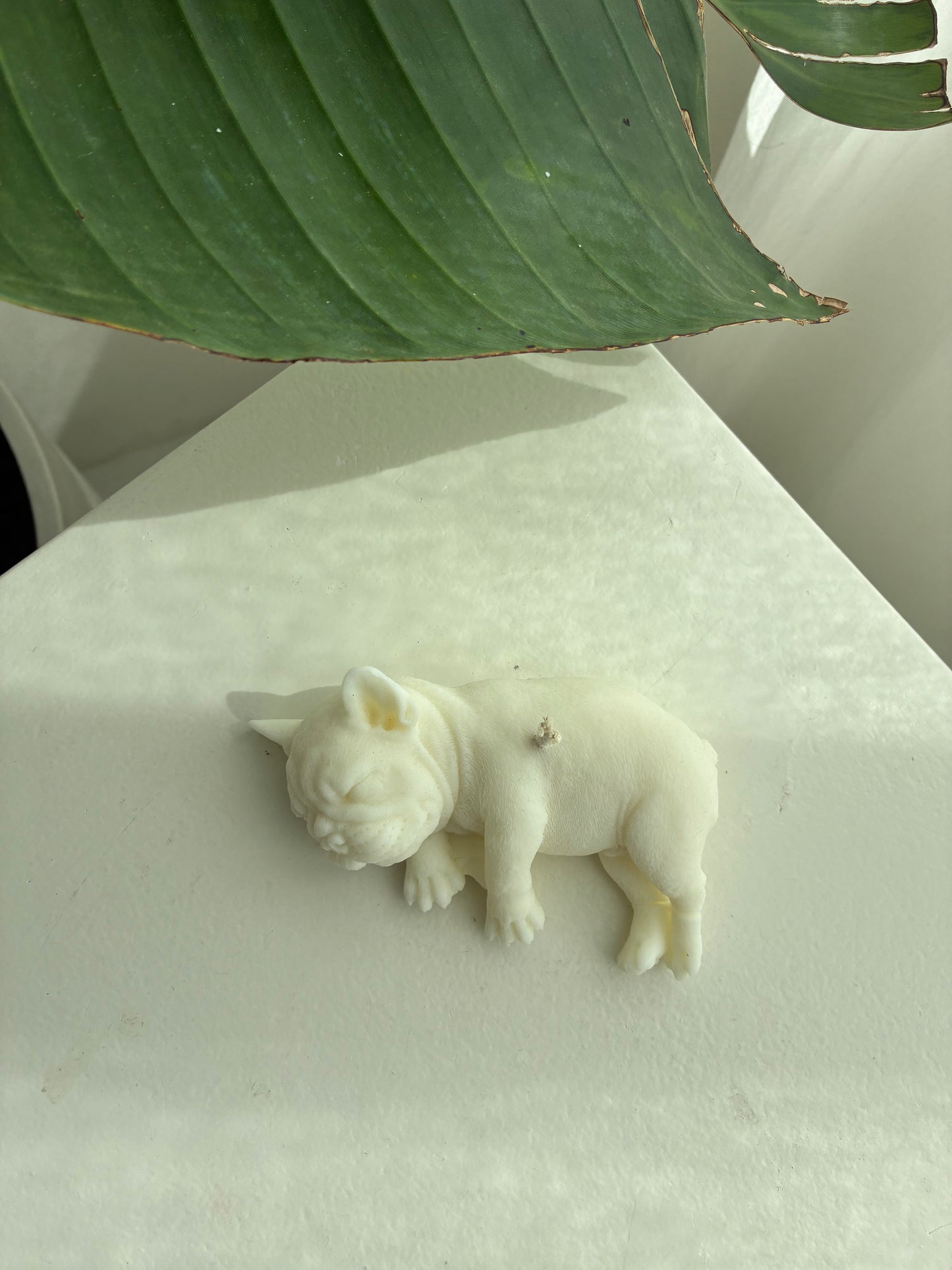 Französische Bulldogge Kerze