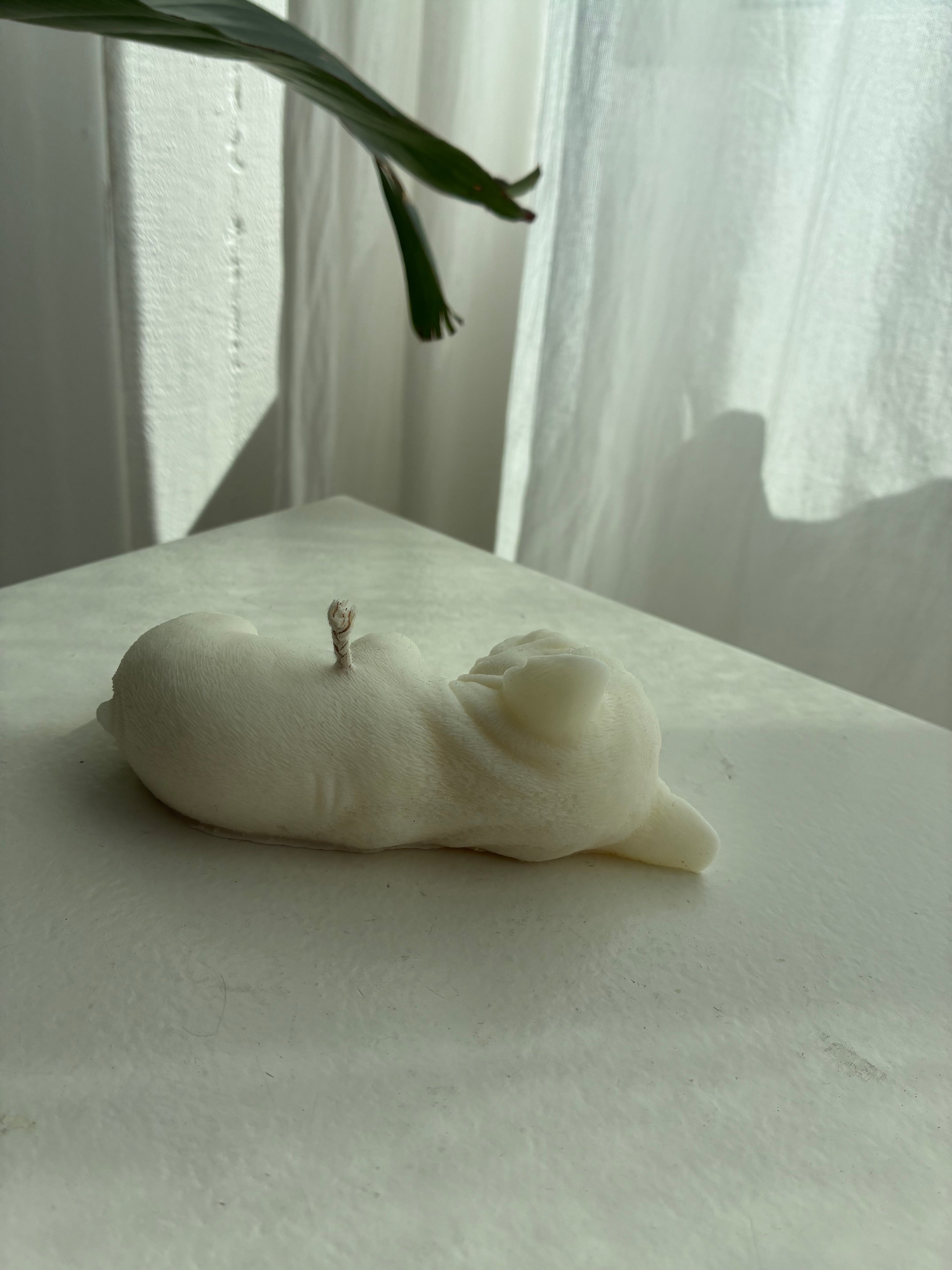 Französische Bulldogge Kerze