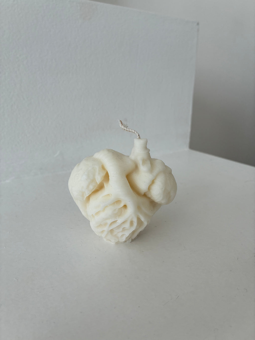 Anatomisches Herz Kerze