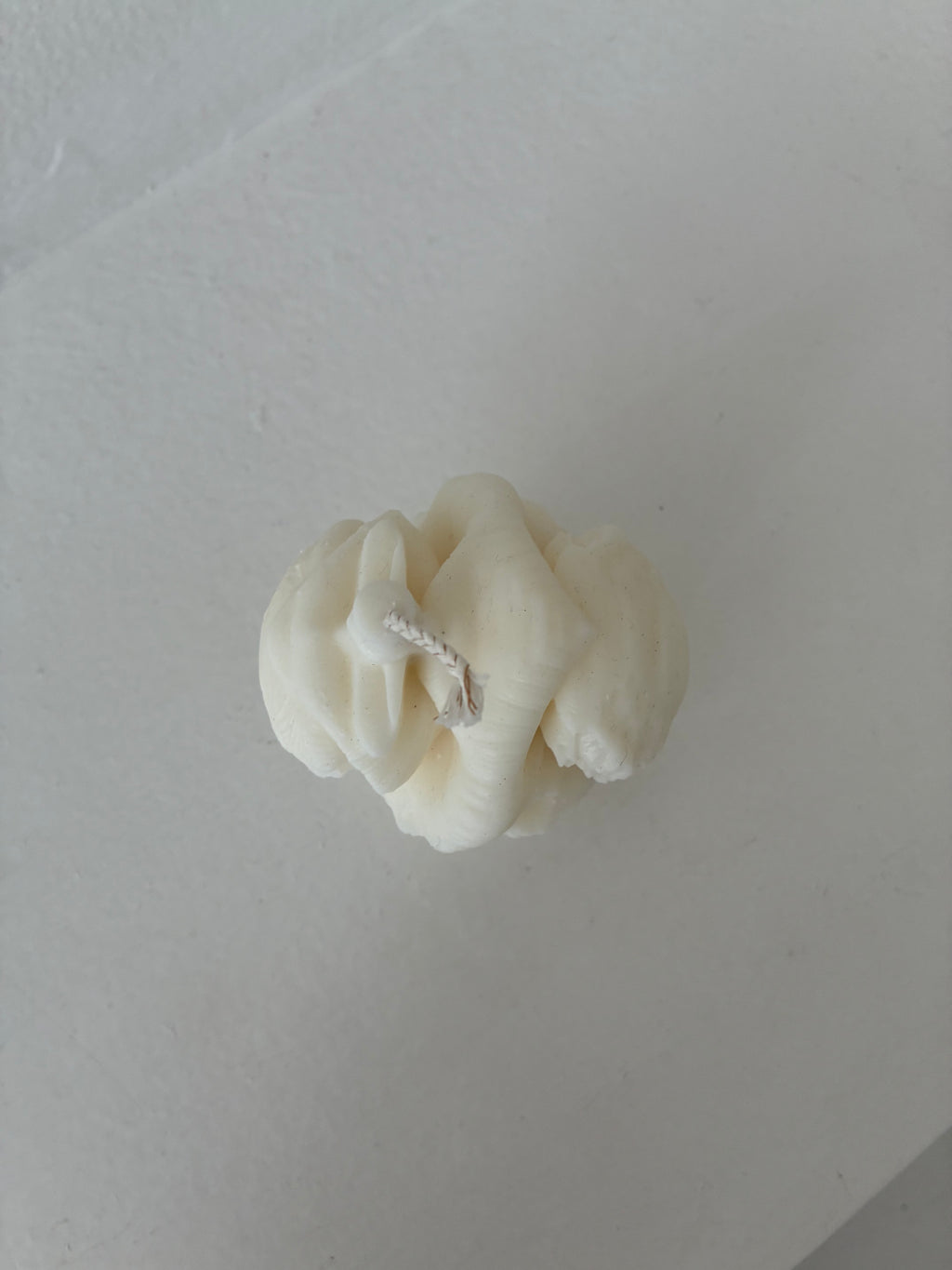 Anatomisches Herz Kerze