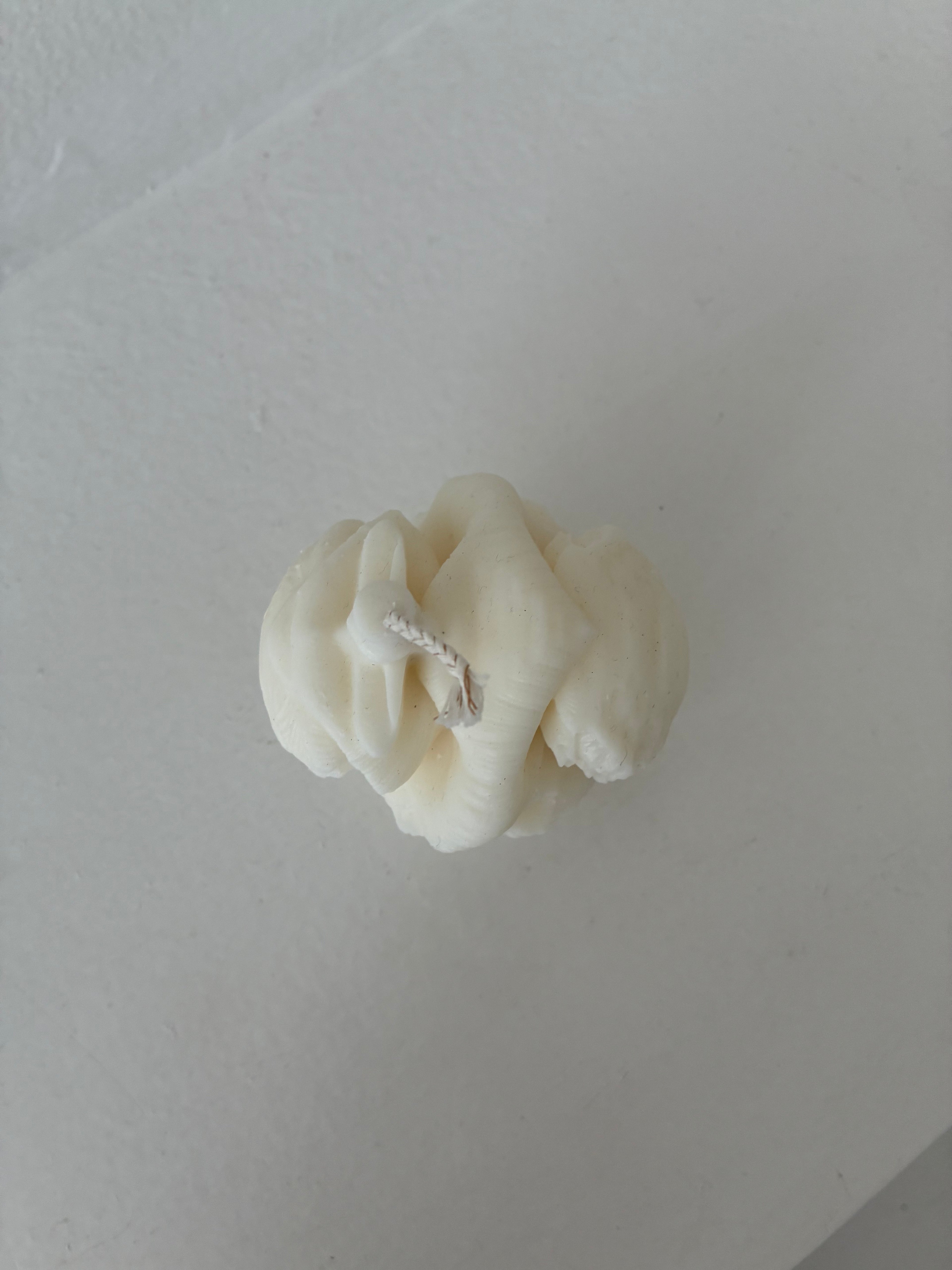 Anatomisches Herz Kerze