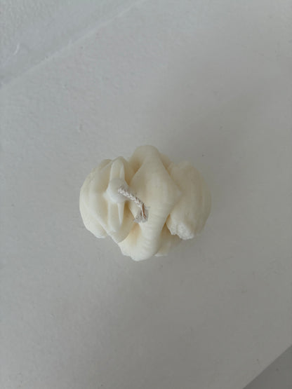 Anatomisches Herz Kerze