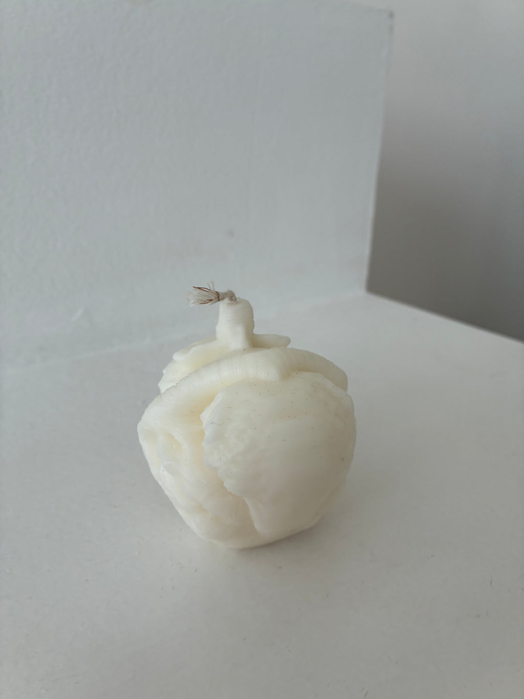 Anatomisches Herz Kerze