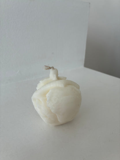 Anatomisches Herz Kerze