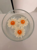 Schwimmkerze Daisy