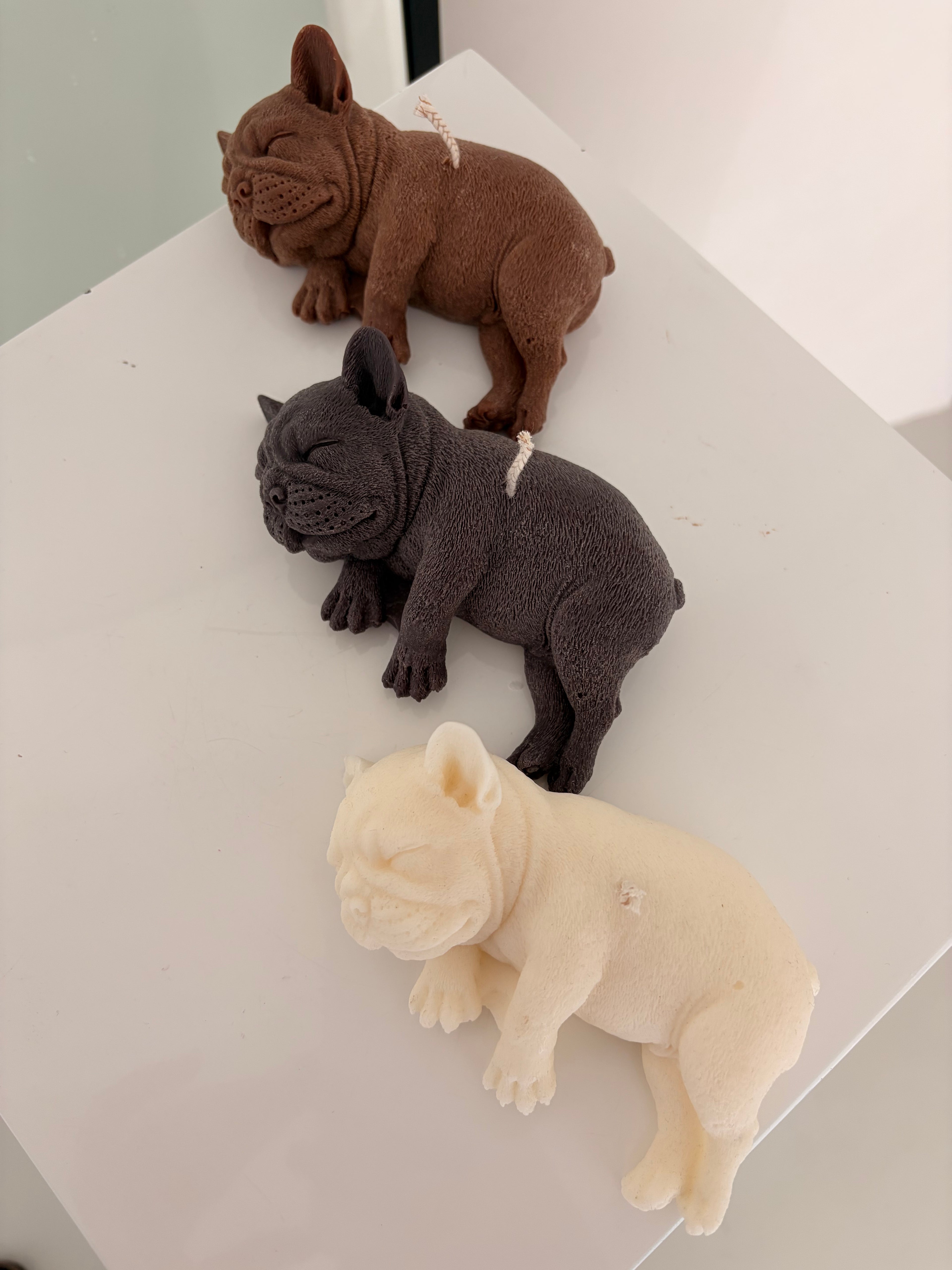 Französische Bulldogge Kerze