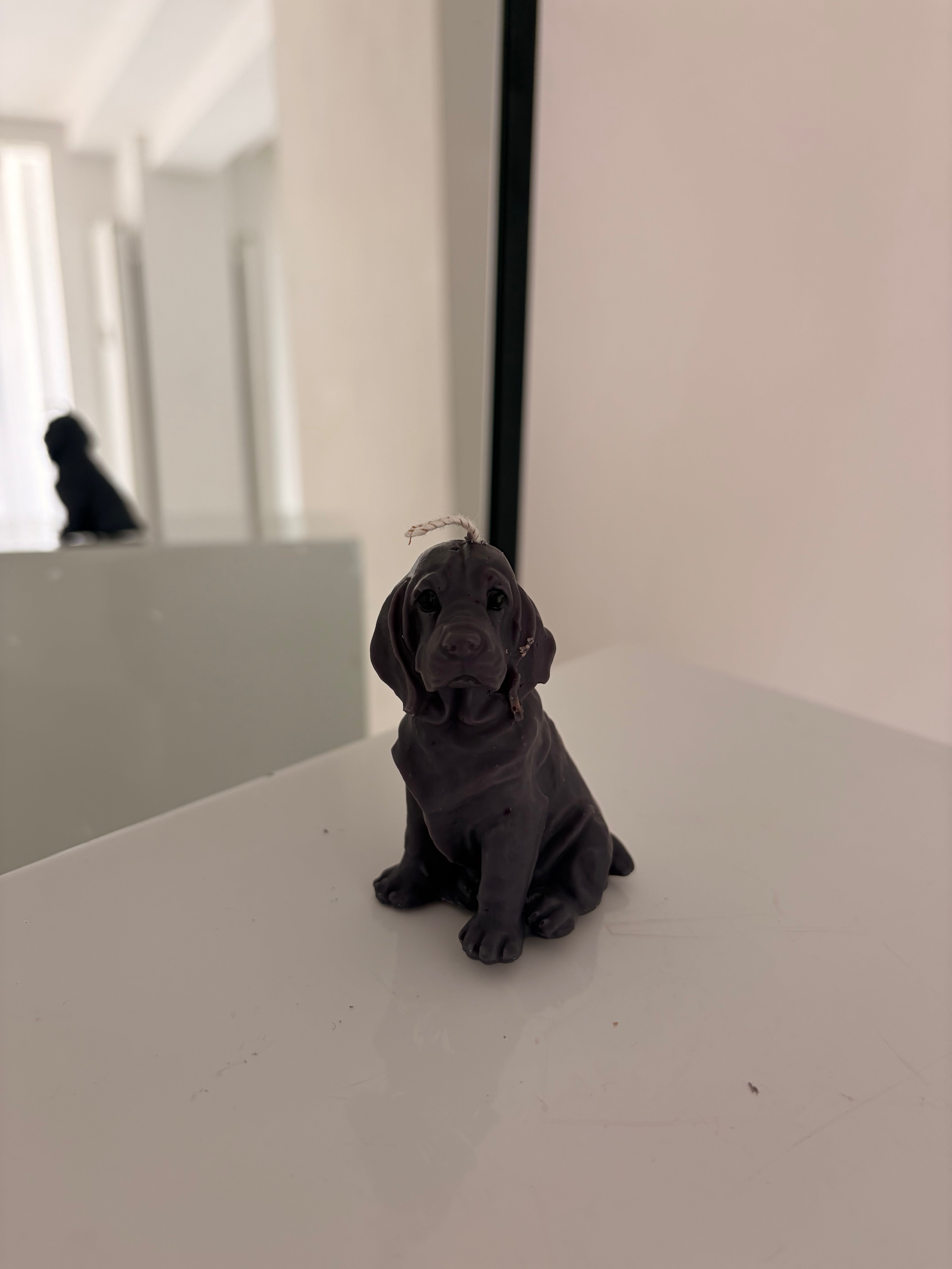Kleine Labrador Kerze