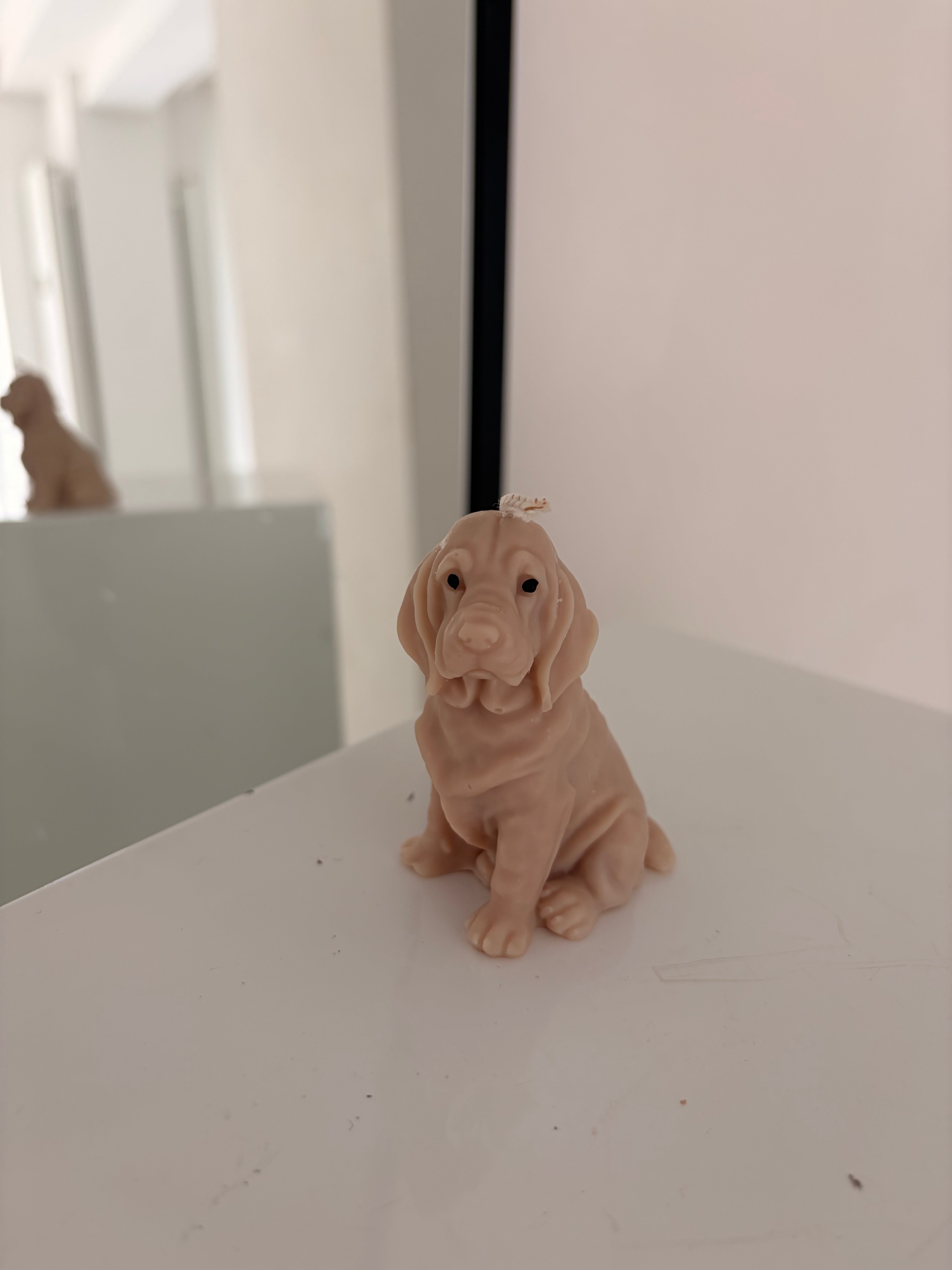 Kleine Labrador Kerze