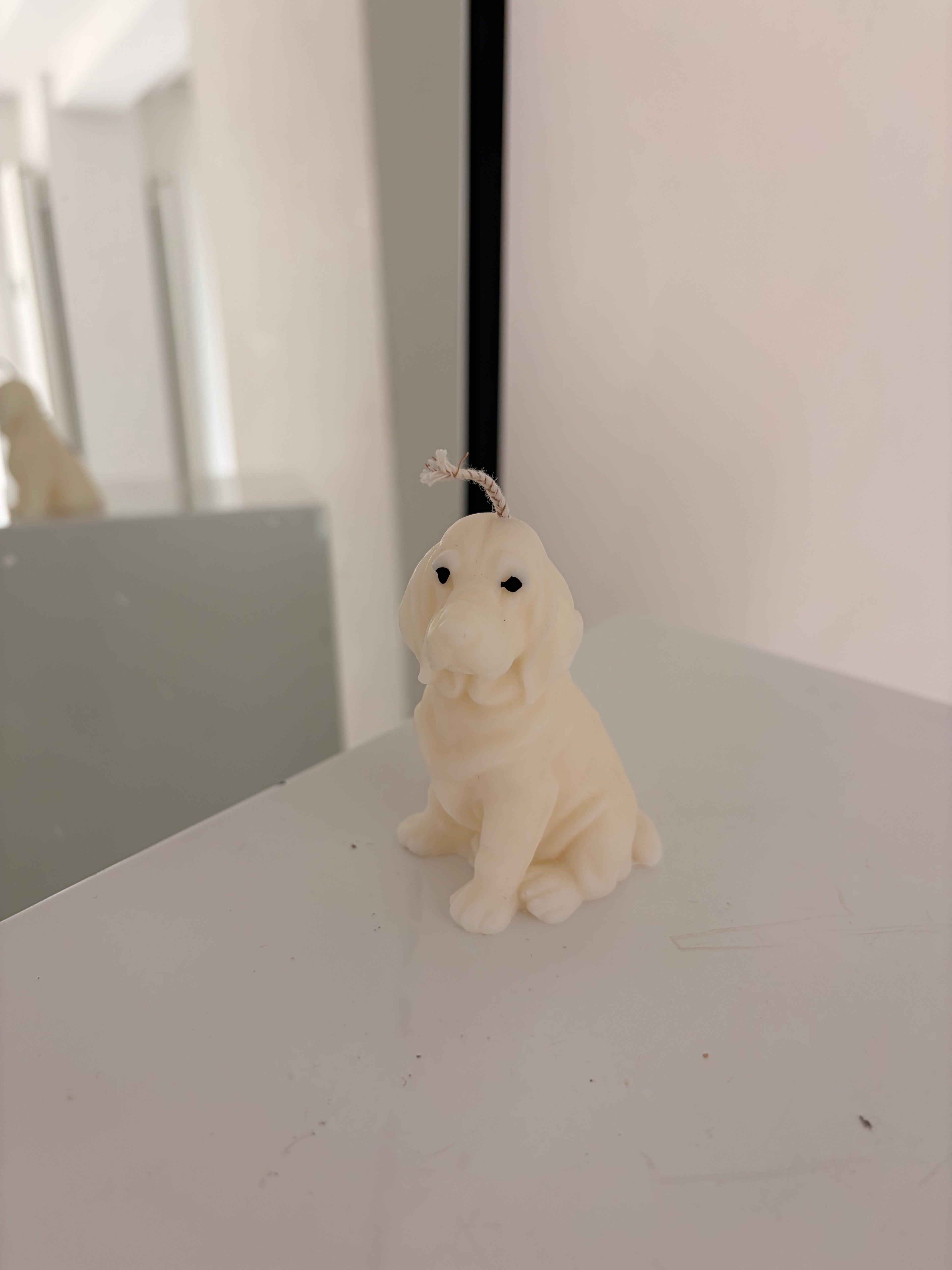 Kleine Labrador Kerze