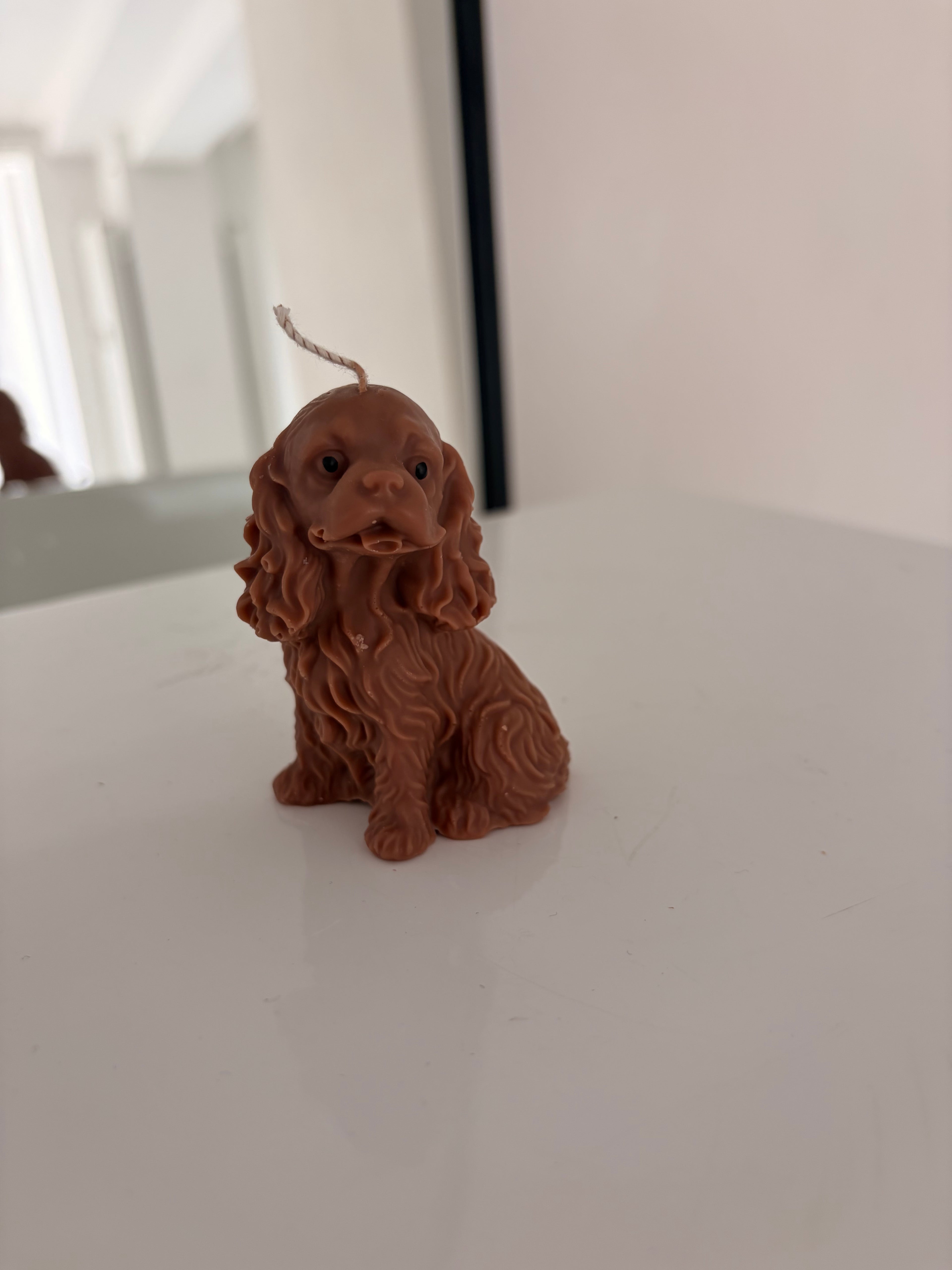 Kleine Cocker-Spaniel Kerze