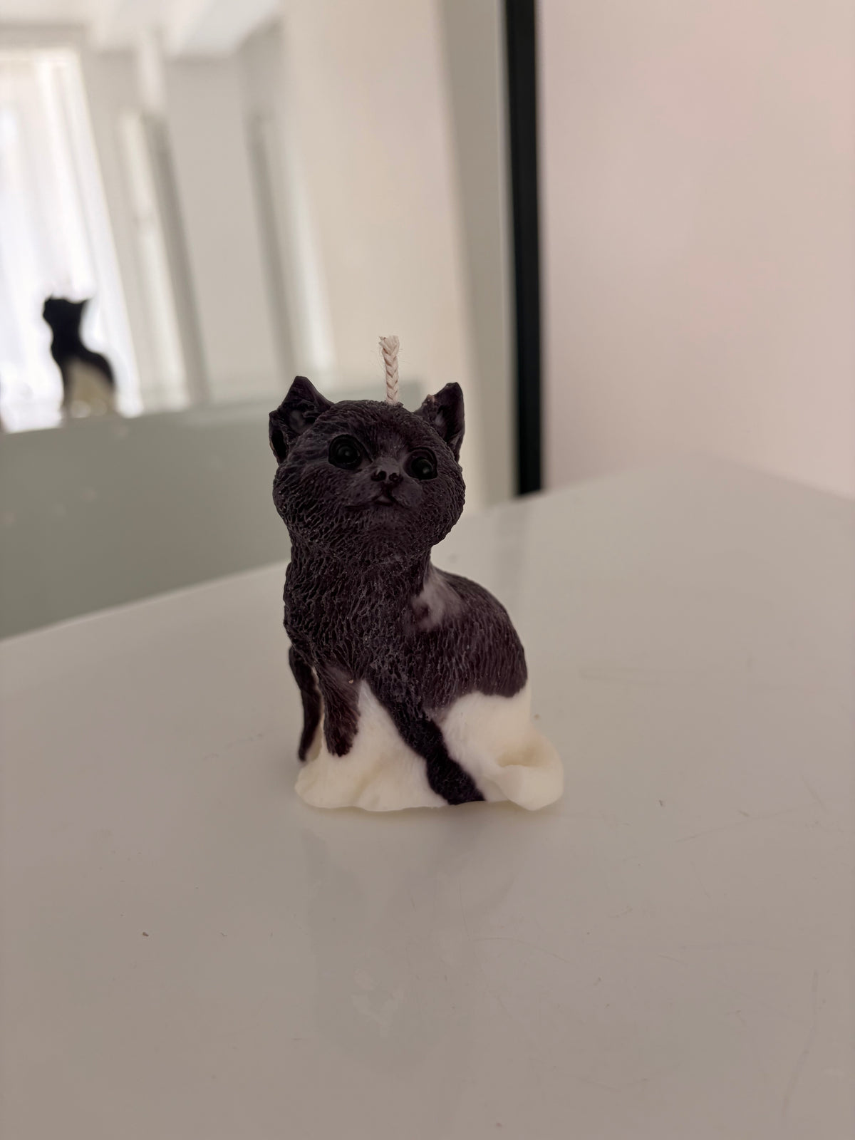 Kleine Katzen Kerze